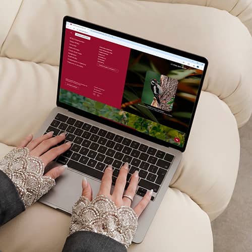 site image