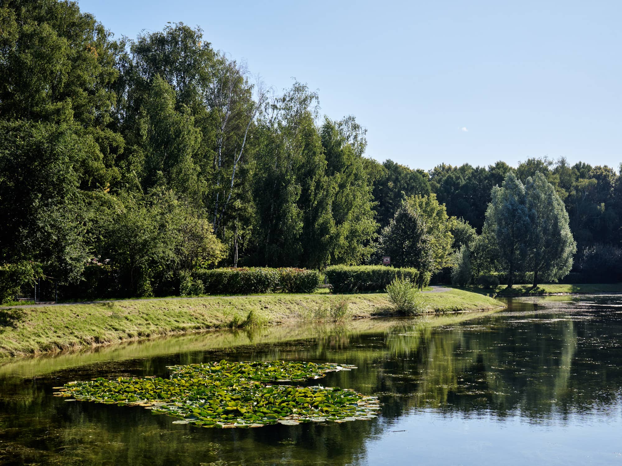 site image