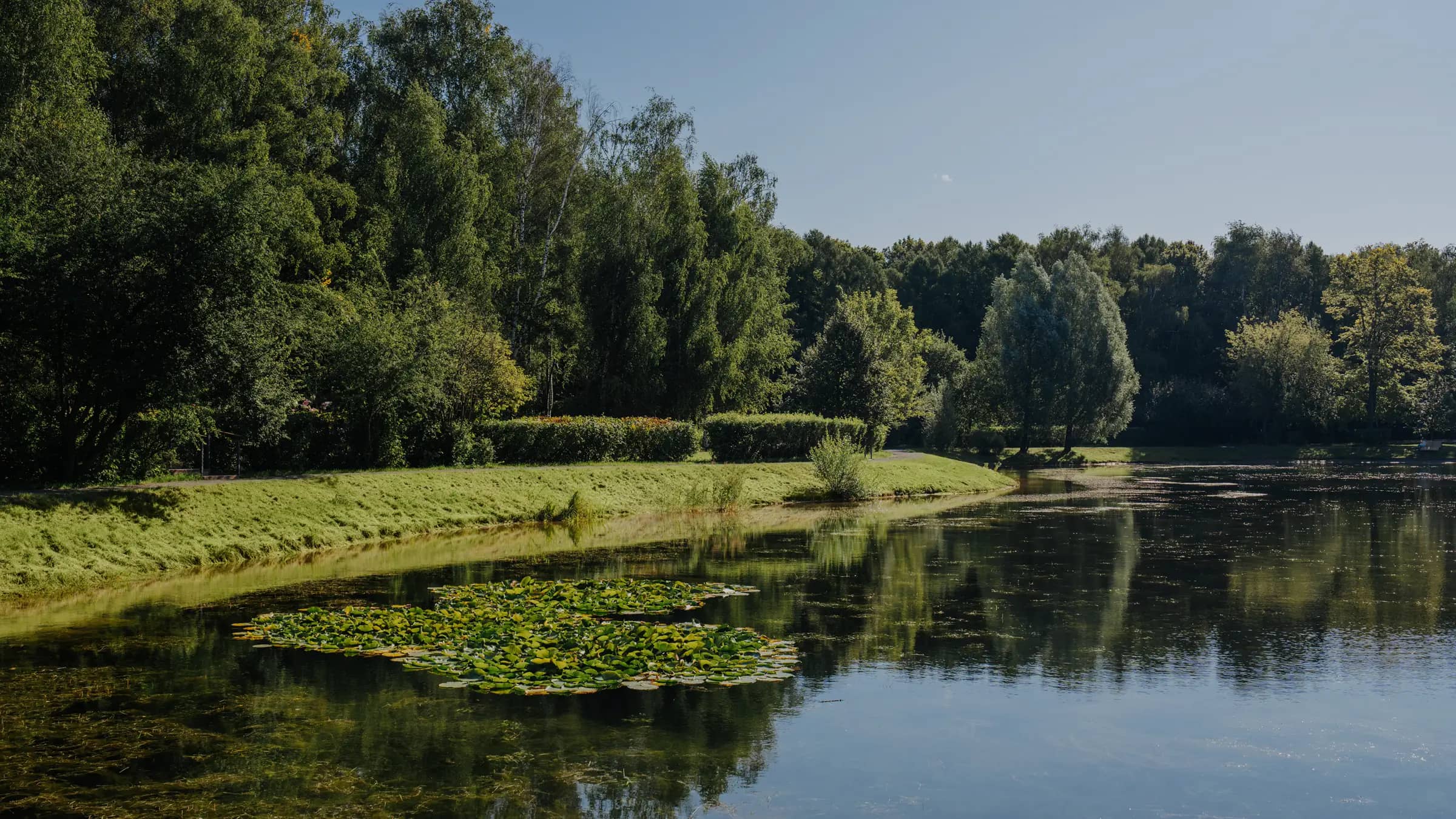 site image